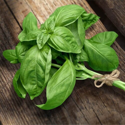 Fresh Basil Infused Olive Oil